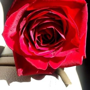 Meet your Posher, Eve